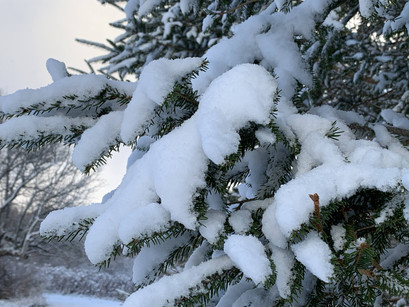 Winter, Solitude, and Feeling Better