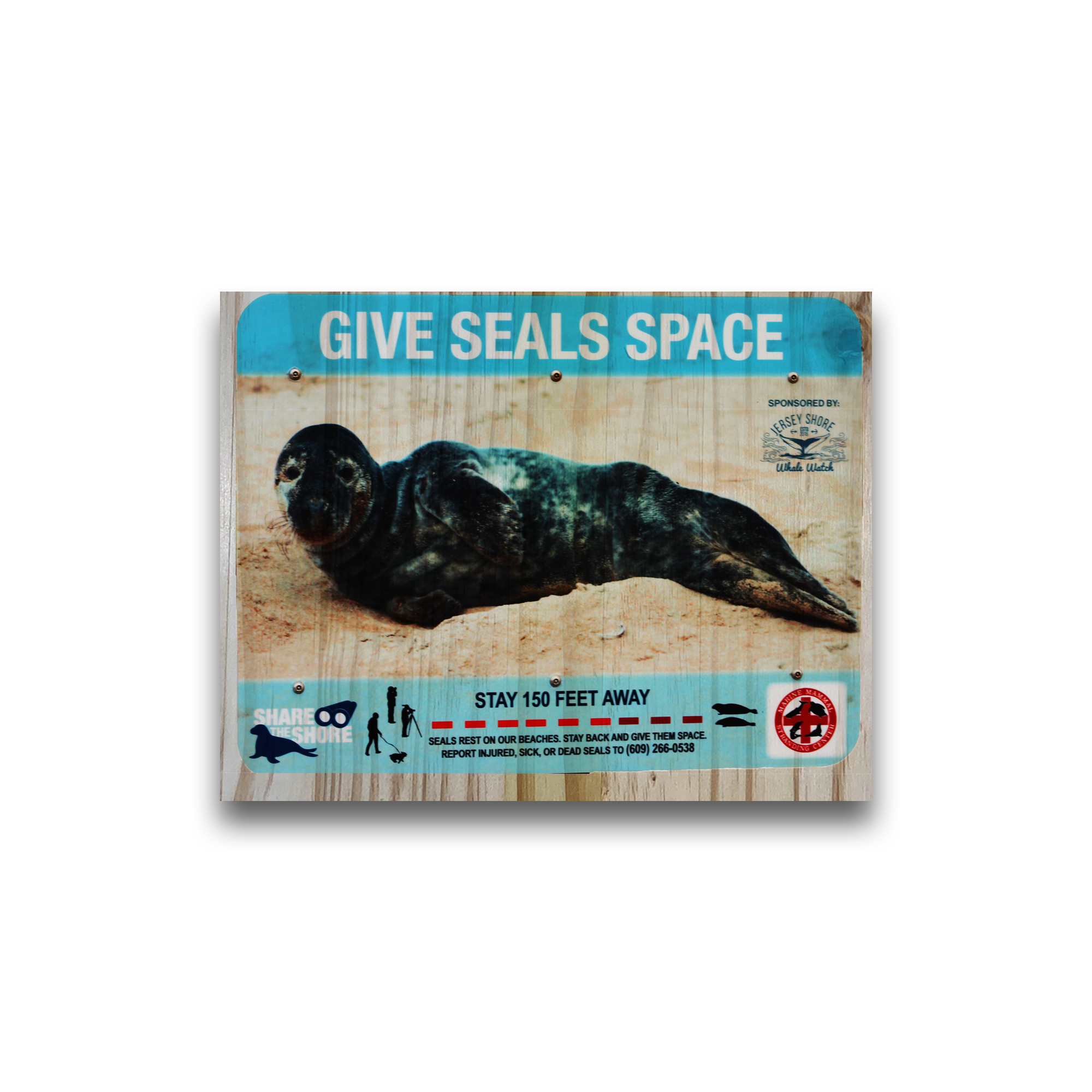 Give Seals Space