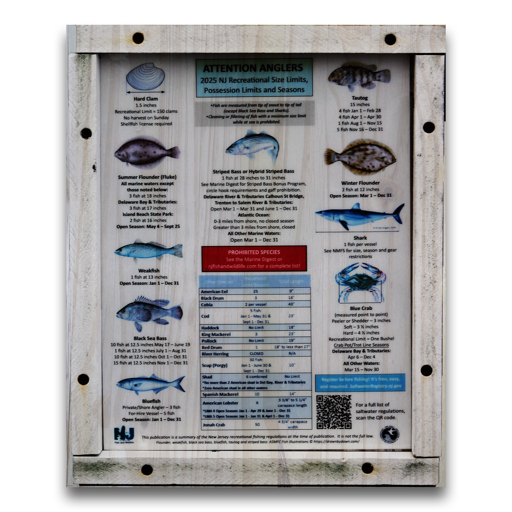 Attention Anglers