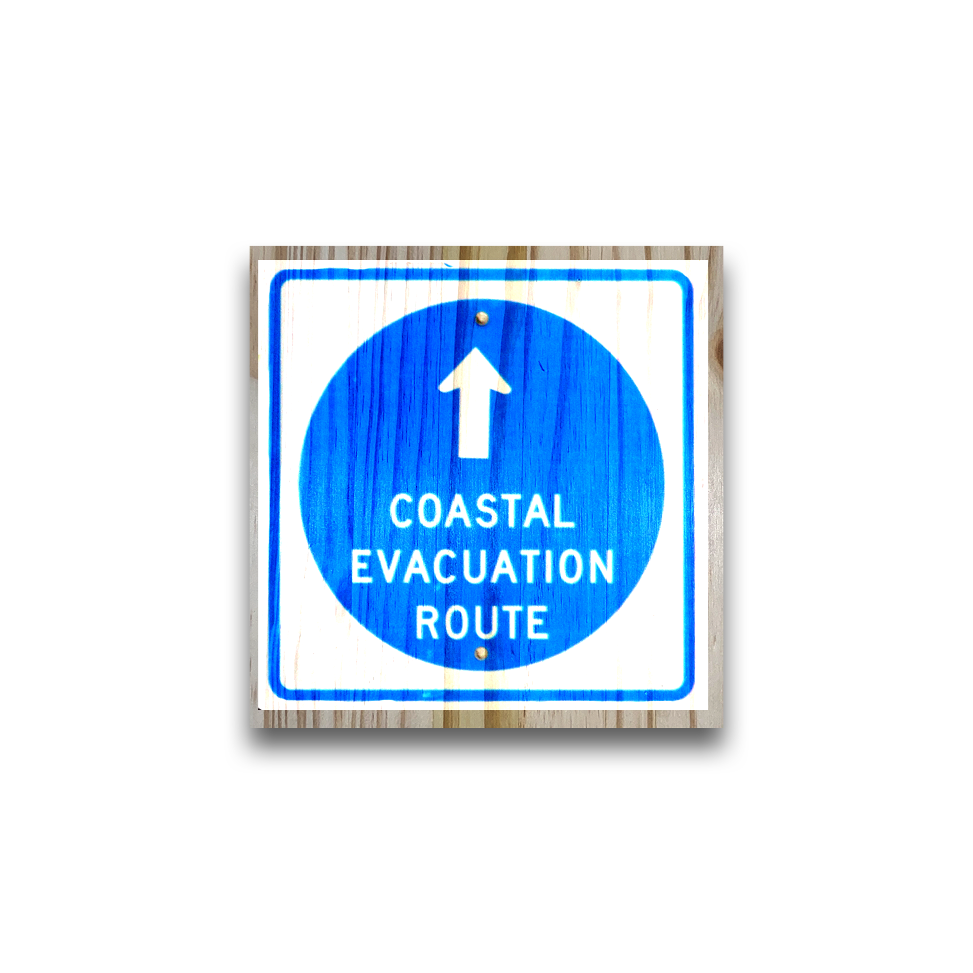 Coastal Evacuation Route