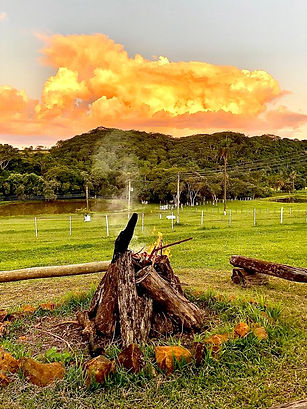 Fim de tarde na fogueira.jpeg