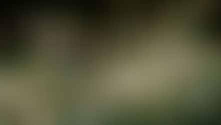 MAKING CEN-SE OF NATURE (TNFD)