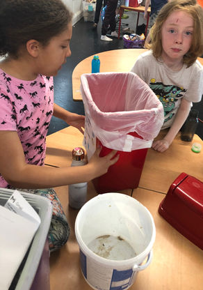 Green Schools - Litter and Waste