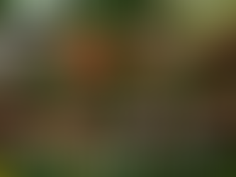 OMG guys! It's almost time!