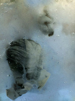 Separated from Self