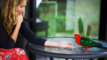 Southbound Escapes The Bower At Broulee NSW Accomodation