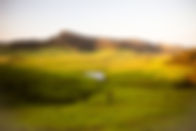 Tilba_Valley_LittleDrom.jpg