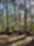 Tilba Coastal Retreat Loop Track camp fire