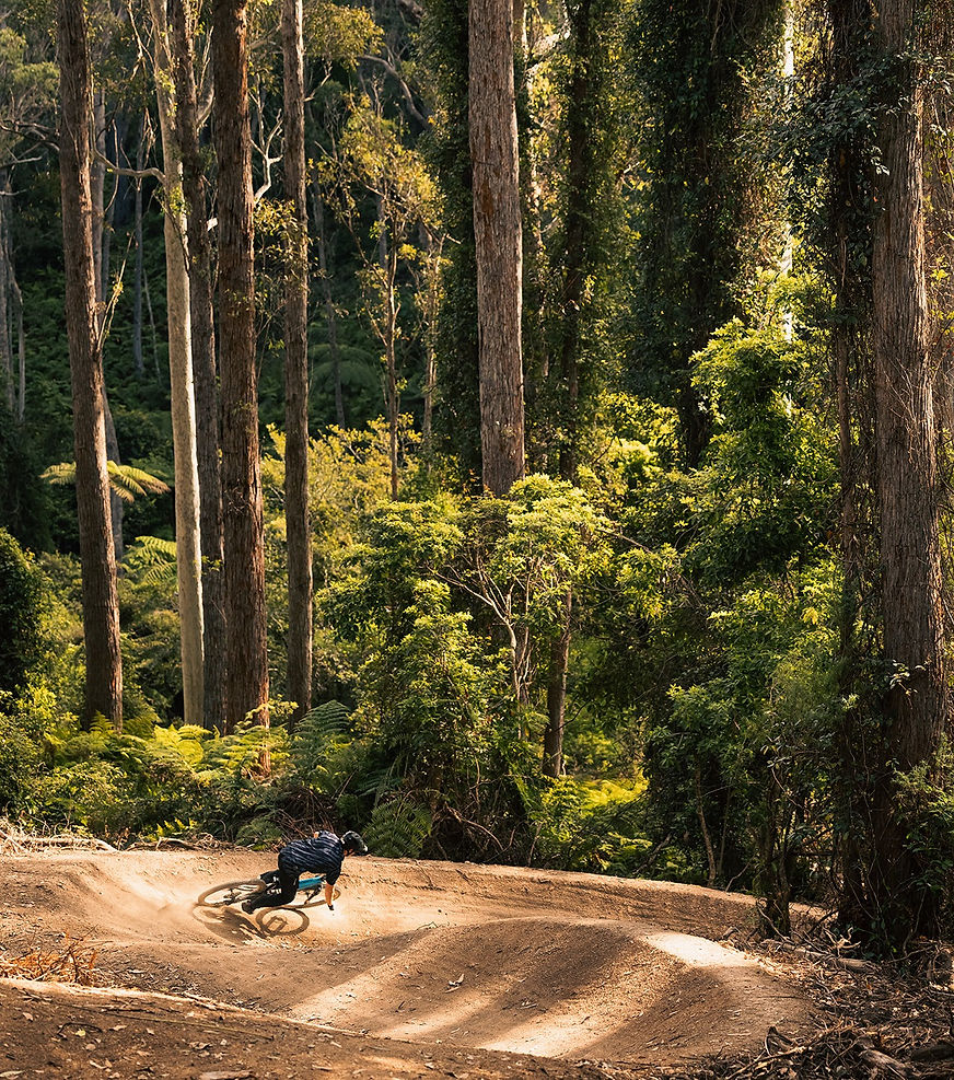 Dharco Narooma Mountain Bike Eduardo Knoch