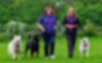 Our Courses at The National Dog Training Academy