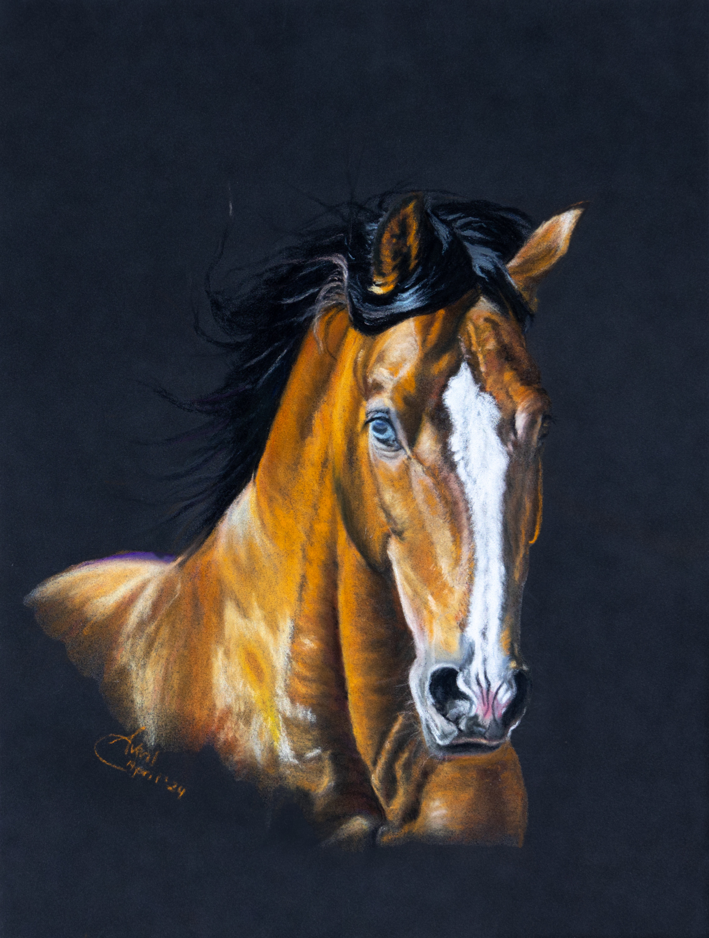 'Into the Light' 6 x 4 Blank Greeting Card
