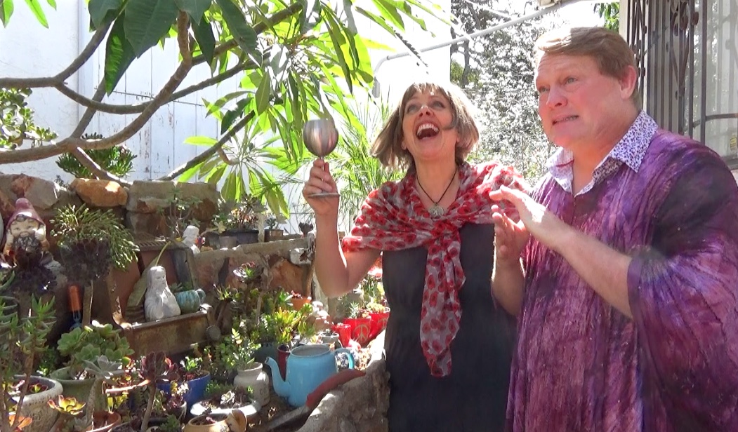 How to Build a Succulent Garden