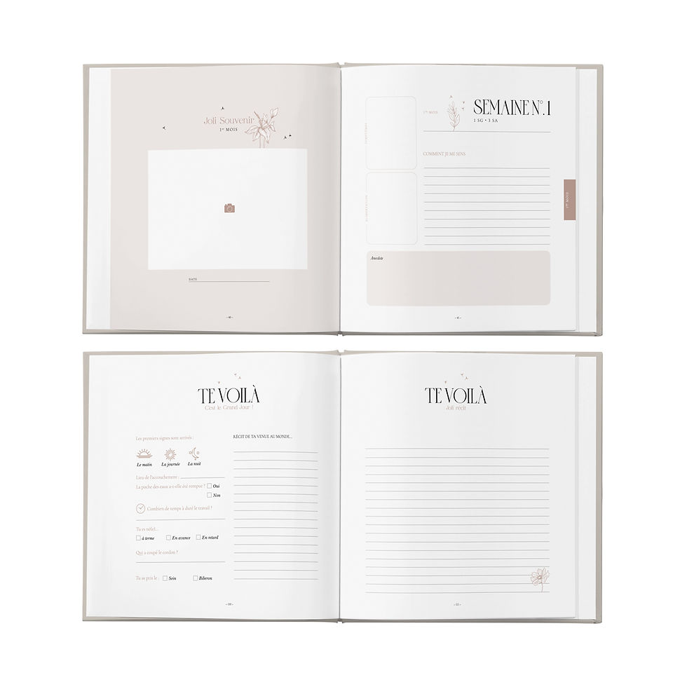 Miniature : Journal de grossesse
