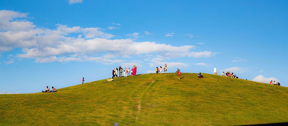 20250905-IMG_3227_edited.jpg