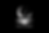 LnBMassageTransparentBackground.png