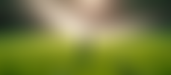 Planning Your Lawn Care Maintenance Effectively: A Friendly Guide to Lawn Care Planning