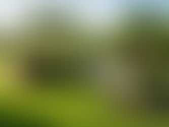 Complete Landscape Care: Design, Build & Maintain