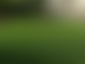 Artificial Grass Installation Made Easy: Step-by-Step Guide