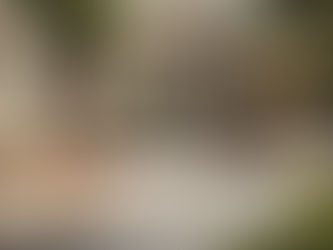 How Much Does a Patio Cost? Price Guide for Homeowners