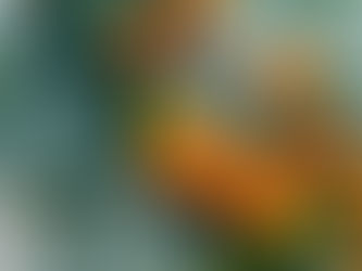 こころのケア講座＠京都　スケジュール（変更）