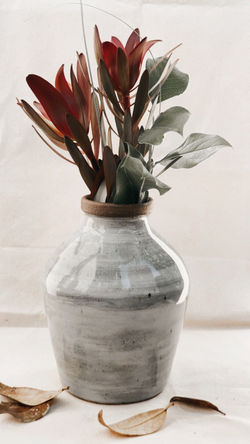 5BE3E93E-C698-4F16-91D4-914857477CD3