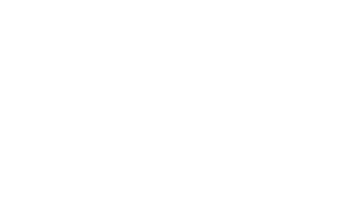 BACHOCO