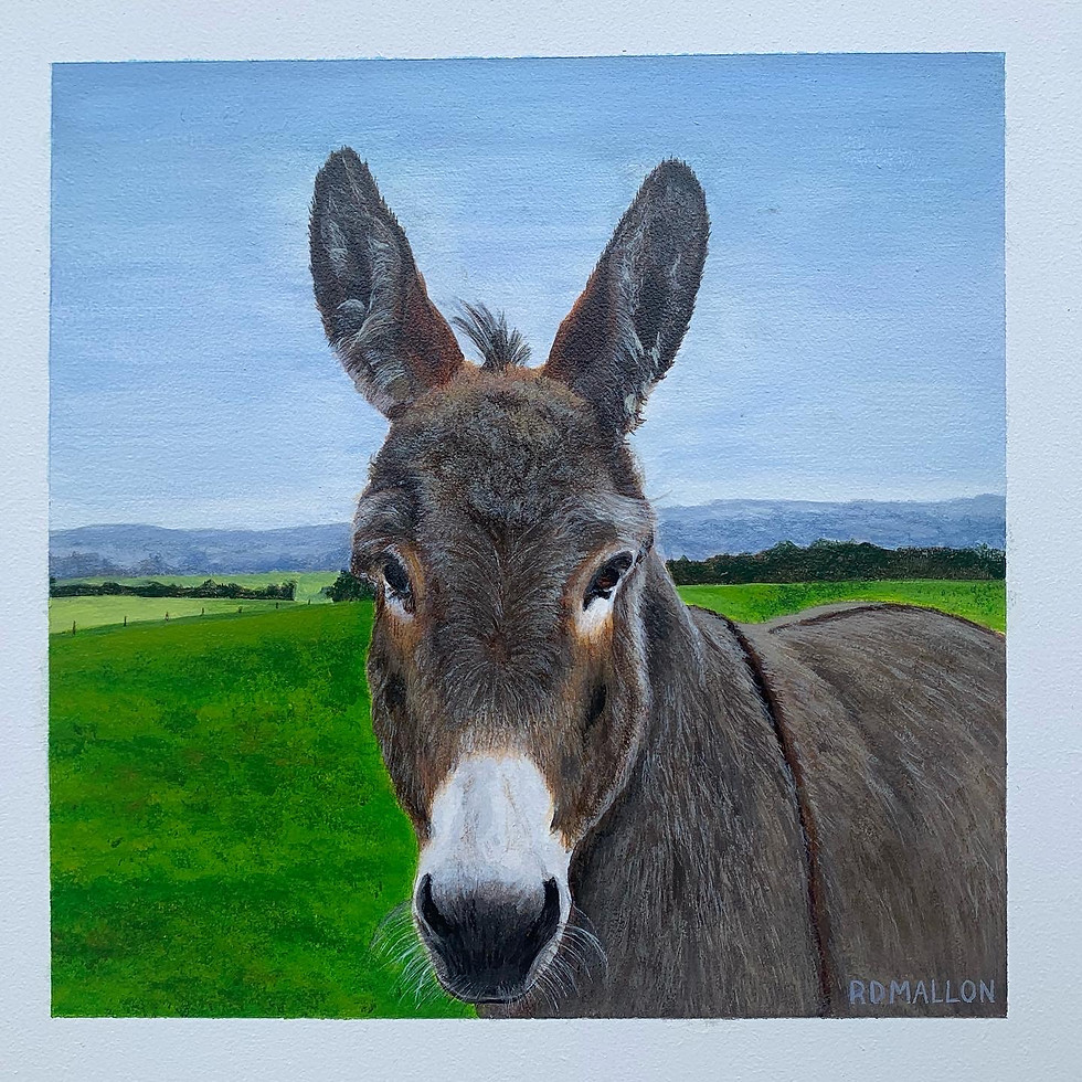 Thumbnail: Marie's Donkey