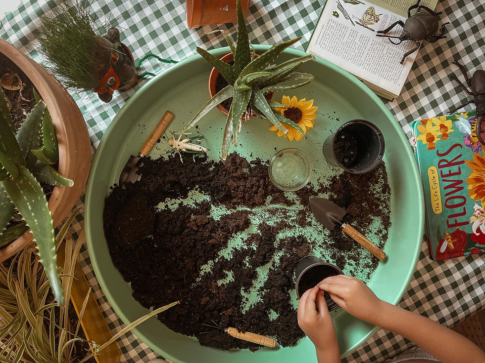 Child planting sunflower seeds in soil surrounded by aloe vera and educational botanical books