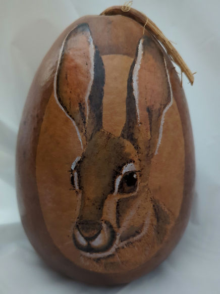 Jackrabbit Up Close | Burnt Renderings
