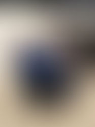 Volksbank fördert den GSC mit insgesamt 1500 Euro