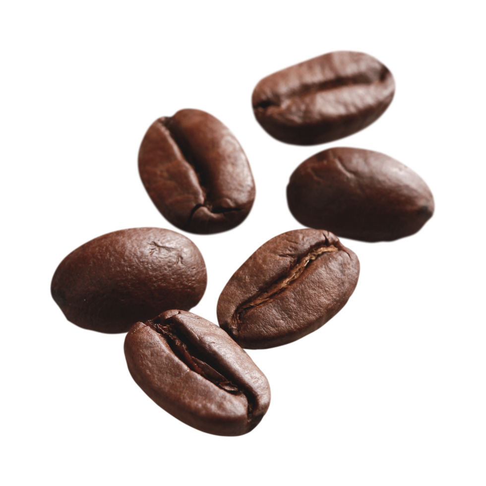 17.png