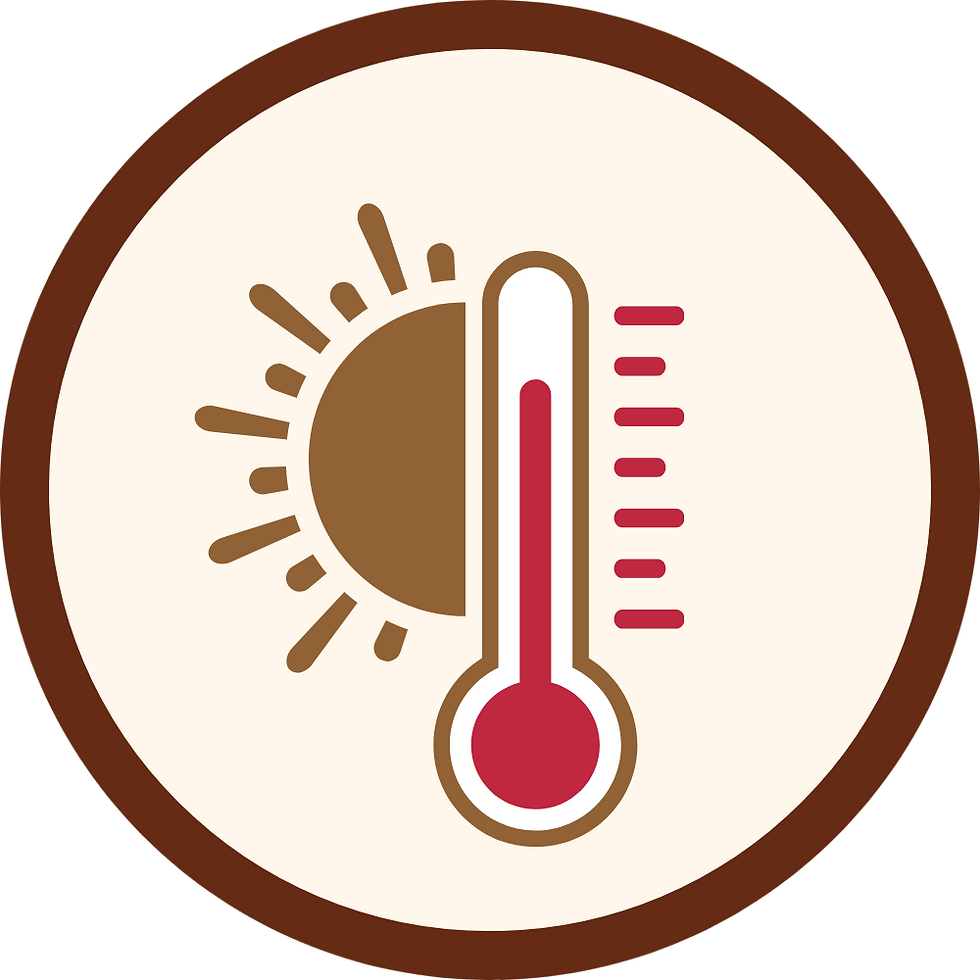 brewing tips icon