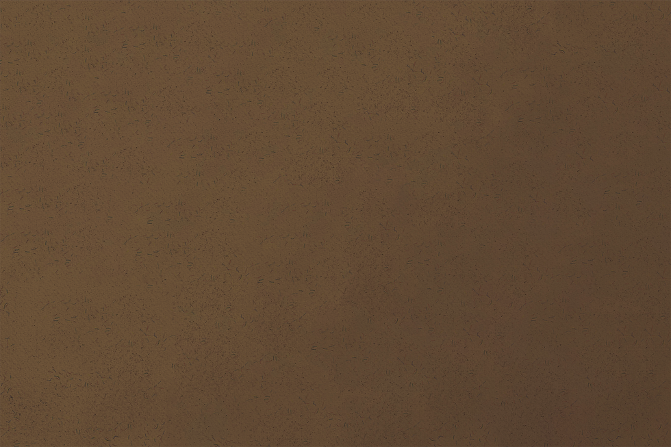 pexels-clarissa-schwarz-89415636956.png