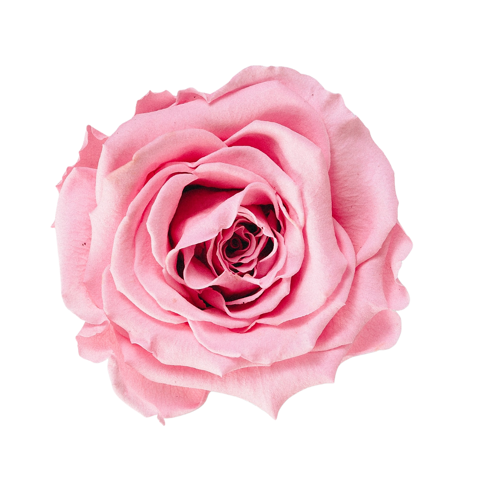 33.png