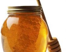 Μελισσοκομία – Ορθή Μελισσοκομική Πρακτική