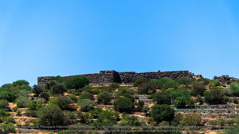 DSC07331.jpg