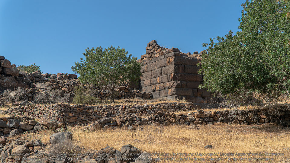DSC07214.jpg