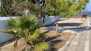 Ολοκλήρωση εργασιών ανακαίνισης του κοιμητηρίου των Αγίων Αποστόλων του οικισμού των Πάλων