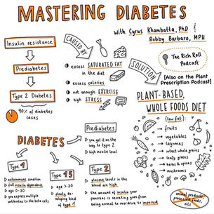What Causes Insulin Resistance?
