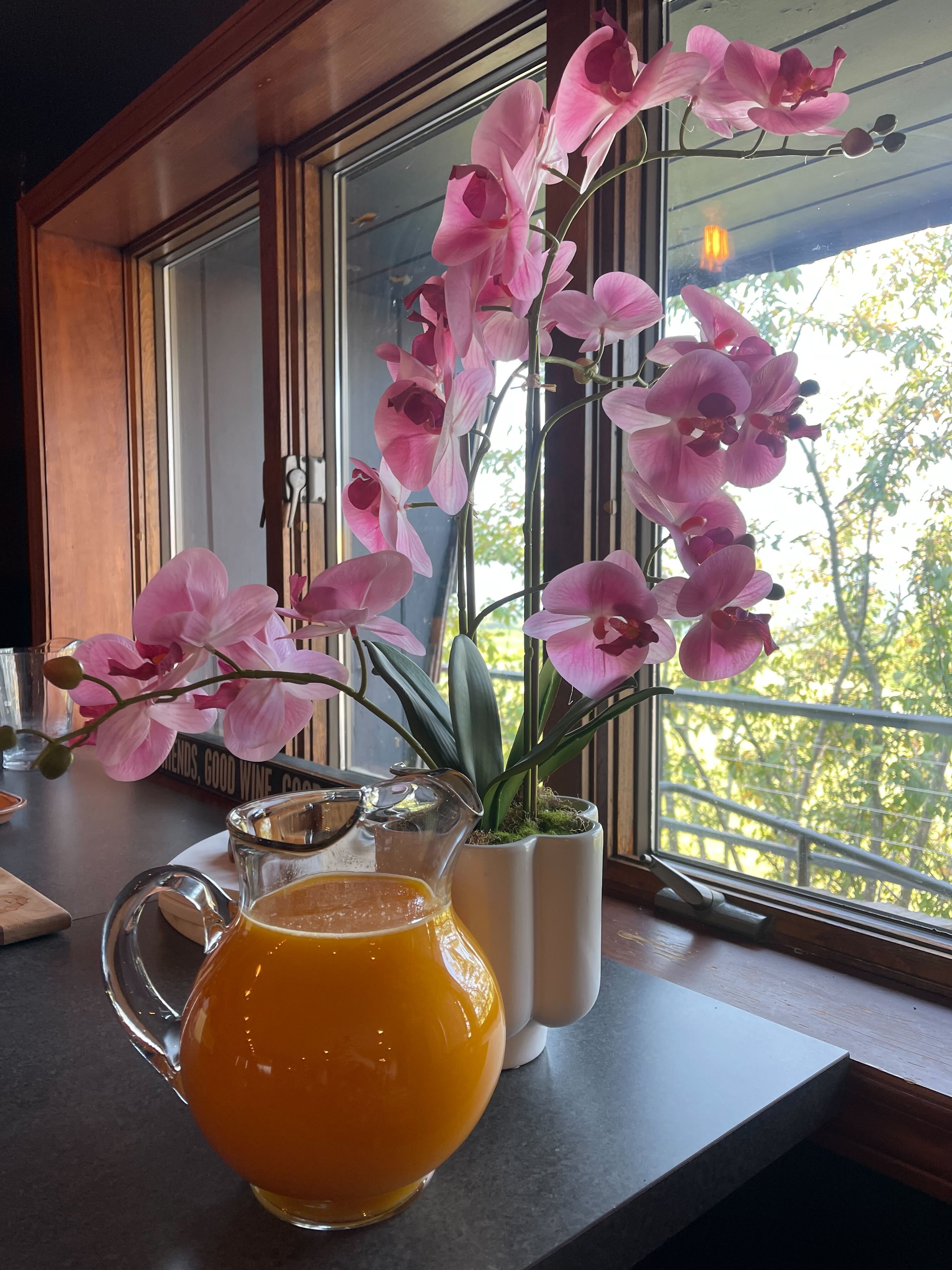 Writer: Finger Lakes Wanderlust