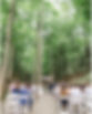 Rustic Forest Wedding-Ceremony-New Park Ithaca-Ceremony