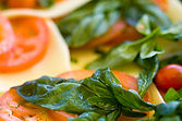 Gastronomic holidays in France
