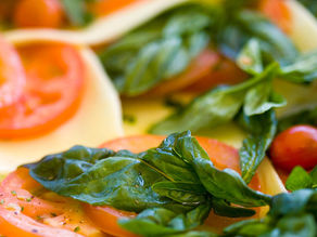 basil and tomatoes