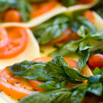 Fresh Tomatoes and Cheese