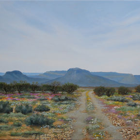 wildflowers of the Karoo