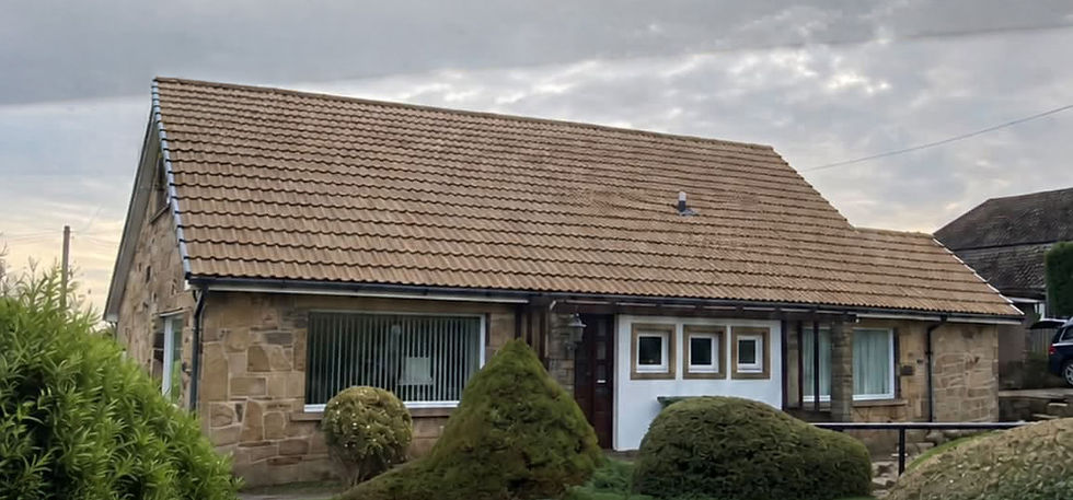 roof after.jpg