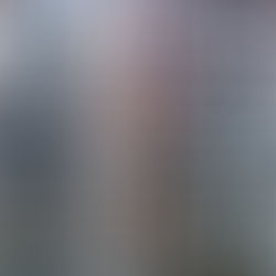 LA CORONA-CRISI IN OLANDA