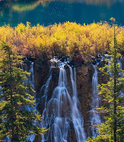 諾日朗の滝: 樹林の中から一気に流れ落ちる壮大な滝。幅が広く、水煙が立ち上るダイナミックな光景。