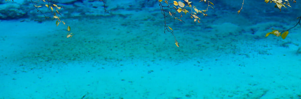 Jiuzhaigou Valley in Sichuan – A must-see natural beauty for travelers looking to explore China’s scenic wonders