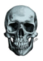 Ilustración calavera azul
